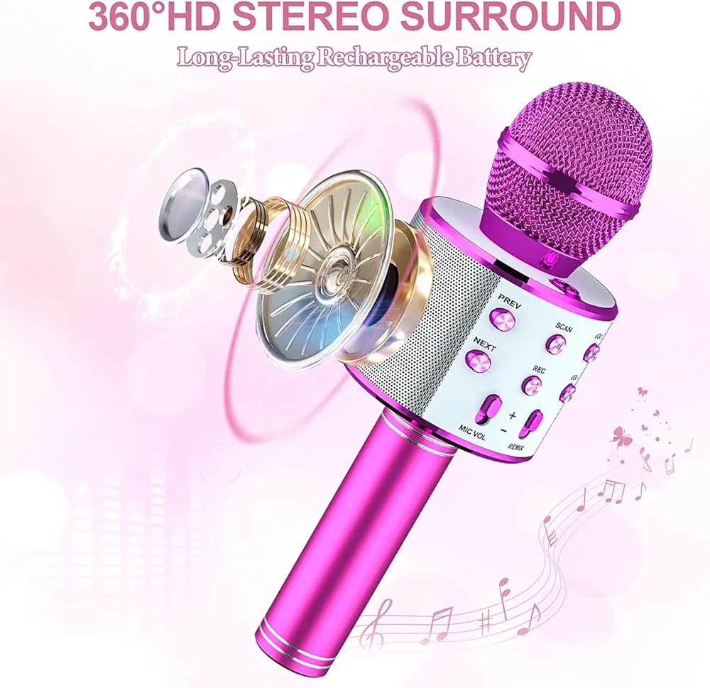 WS-858 wireless microphone