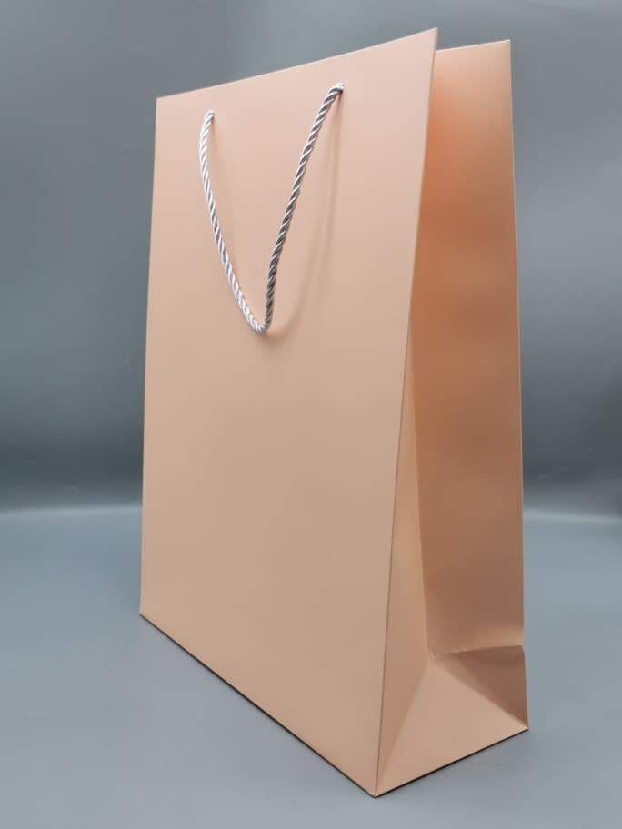 99137XL GIFT BAG