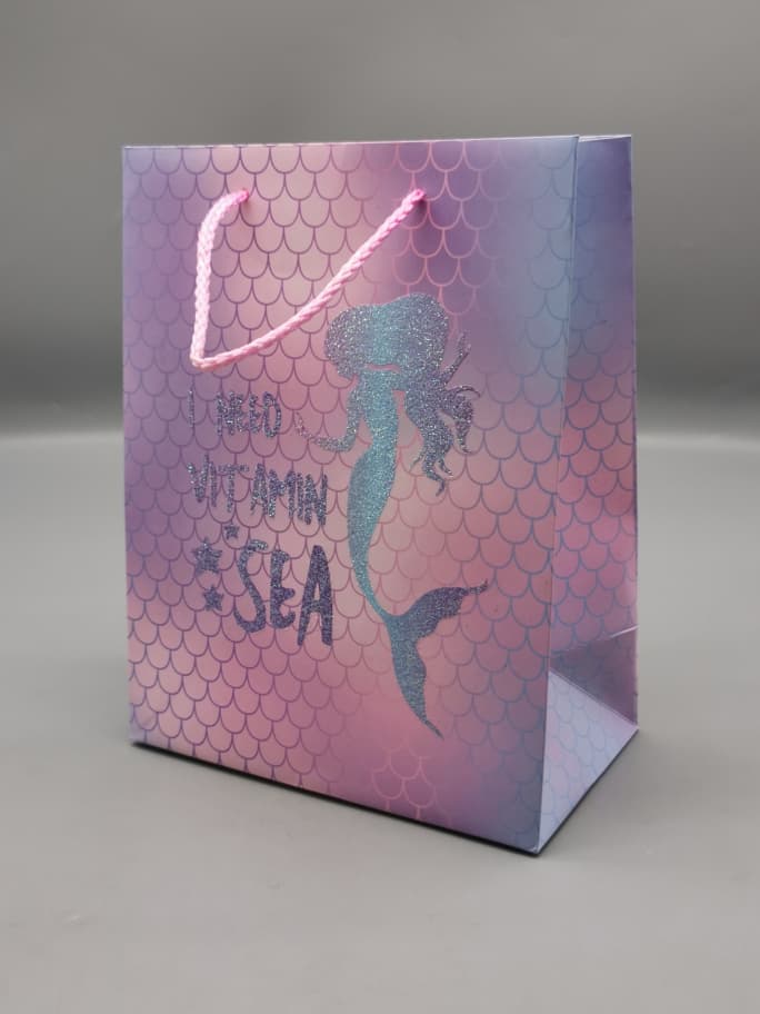 HS6854 GIFT BAG MEDIUM